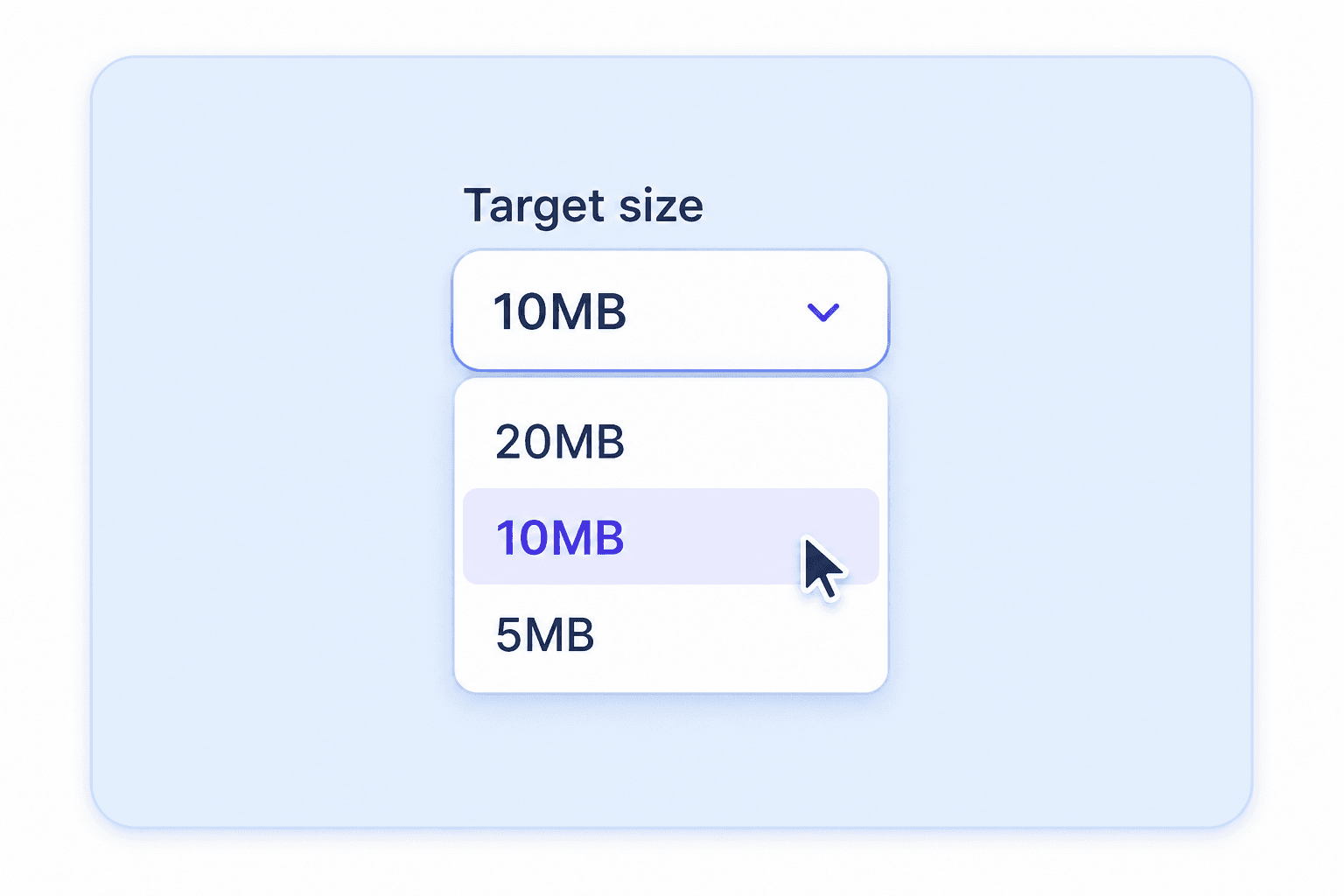 Step 2. Choose 10MB as the Target Size