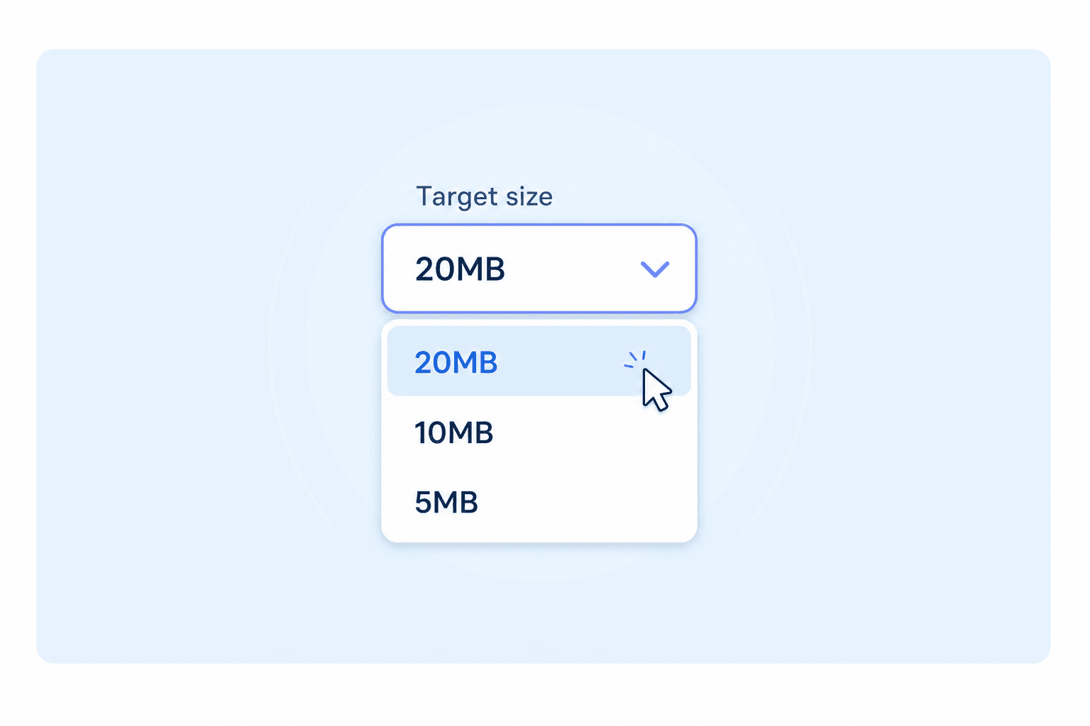 Step 2. Choose 20MB as the Target Size