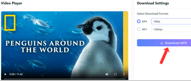 YouTube Downloader Não Funciona? O Guia Definitivo de Resolução de Problemas